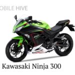Kawasaki Ninja 300 Price in Nepal