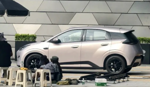 byd 300x174 1